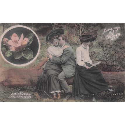Language Of Flowers Apple Blossom Selected Flavours Old Postcard