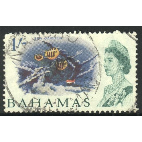 Bahamas stamps 1965 - SG256a - 1/- multi - Sea Garden - used