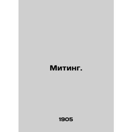 Meeting. In Russian (ask us if in doubt)/Miting.