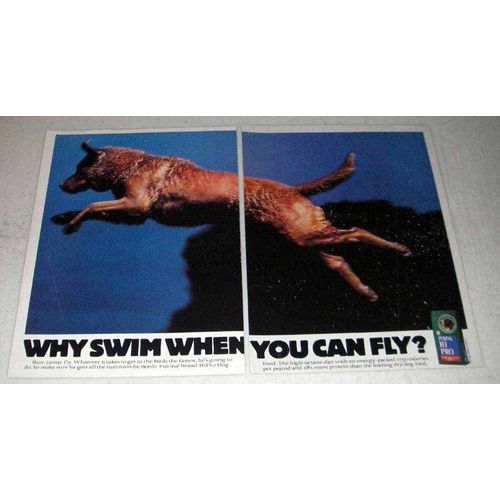 1993 Purina Hi Pro Dog Food Ad - Why Swim Can Fly