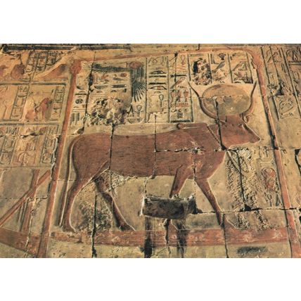 Chapel of Goddess Hathor Egypt Postcard