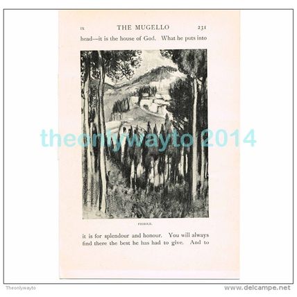 FIESOLE (1), FLORENCE, ITALY, BOOK ILLUSTRATION/PRINT, 1904