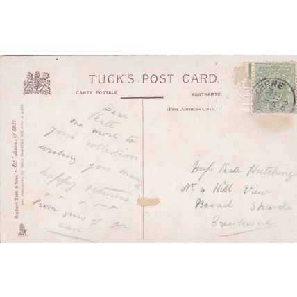 E181 CAT POSTCARD-BIRTHDAY GREETINGS