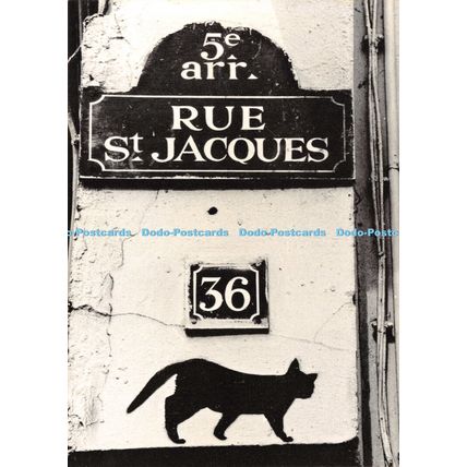 D028560 Rue St. Jacques. Nouvelles images. Bernard Hermann. Nouvelles Images. Be