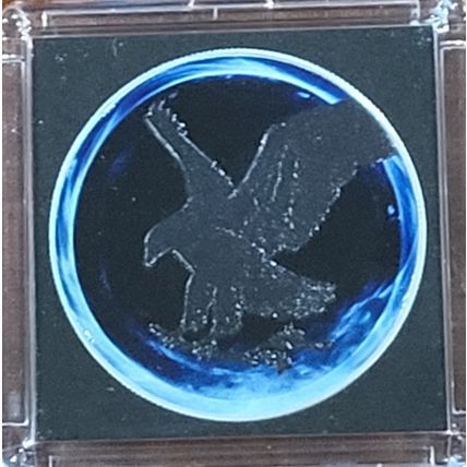 1 Oz Silver Collectible 2024 U.S. Eagle Star Privy Black Hole# 23 Of 499