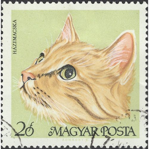 HUNGARY, CAT, European Shorthair, yellow-green 1968, 20f, #3