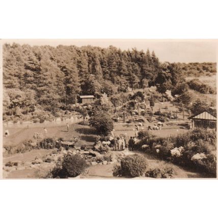 Country Garden somewhere in England Postcard unused VGC