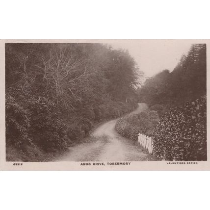 Aros Drive Tobermory Scotland Real Photo Old Postcard