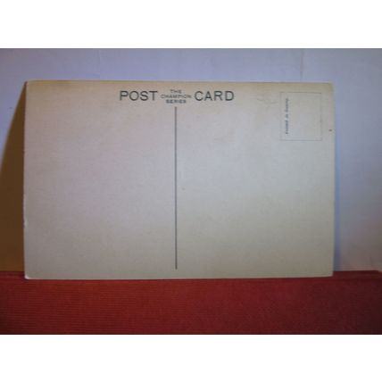 CHINE FALL, SHANKLIN, Isle of Wight unused antique postcard Champion series =