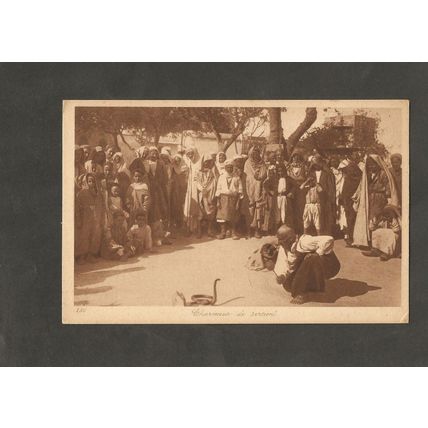 Postcard Africa Snake Charmer