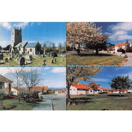 D025538 Woolavington. Saint Marys Church. Old Mill Road. The Village Green. Sedg