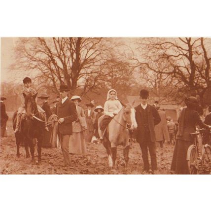 Postcard Albrighton Foxhounds 1900s Hulton Photo Horse - Nostalgia