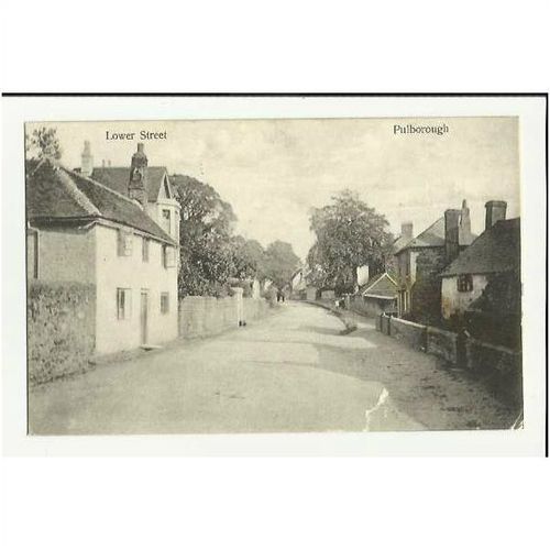 Sussex PULBOROUGH Lower Street Postcard by Arrow Series