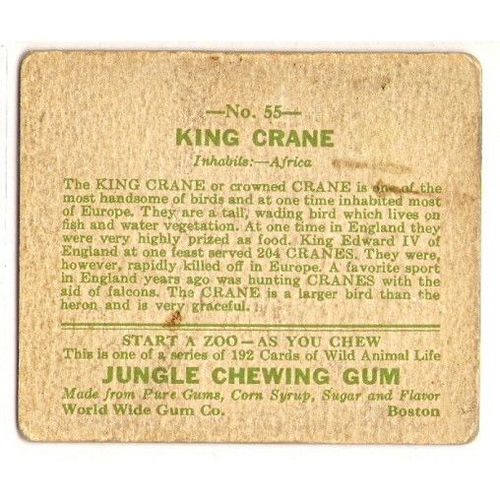 JUNGLE CHEWING GUM card # 55 KING CRANE ( 1933 )