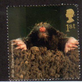 Great Britain 2004 Woodland Animals 1st Mole Used SG 2487 Sc 2236 postage stamp