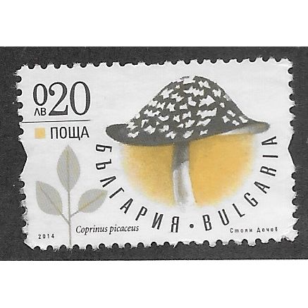 BUL 2014 20st 'FUNGI' FINE USED (EBID62-702)