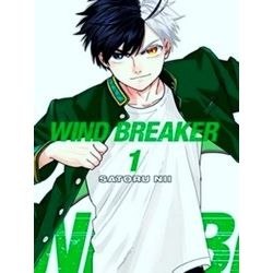 Wind Breaker 1