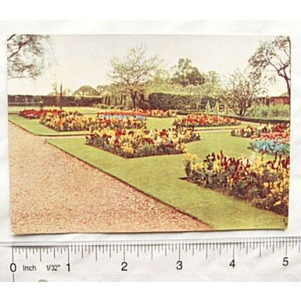 1938 postcard Godfrey Phillips Garden Studies no.14