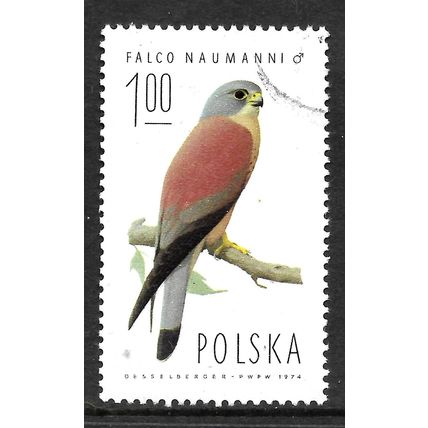 POLAND 1975 1z LESSER KESTREL MALE SG 2341 FINE USED #4