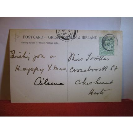 NEAR HALE END, EPPING FOREST, ESSEX. unused antique postcard =
