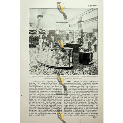 Victorian Peter Robinson Drapery Shop, Interior, Book Illustration (Print) c1907