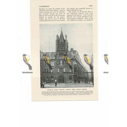 Trinity Street, Cambridge, Book Illustration, c1920