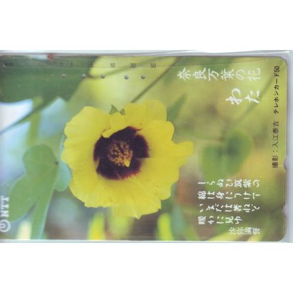 Hibiscus Japan NTT Phone Card