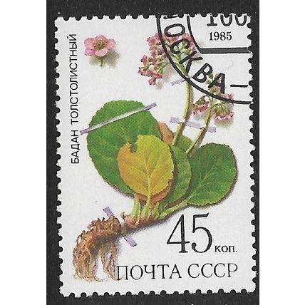 1985 Michel 5532 - cancelled