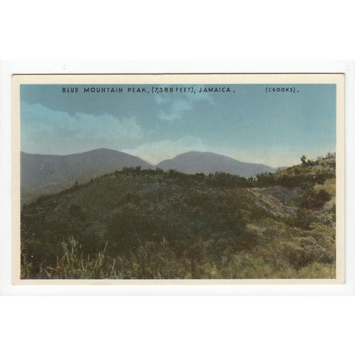 Blue Mountain Peak 7,388 Feet Jamaica Postcard J18