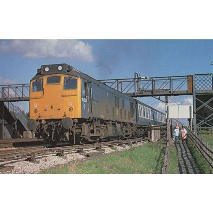 25052 Class 25 Train at Paignton Railway Station 1977 Postcard