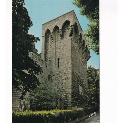 Montpellier Tour des Pins France Postcard used VGC