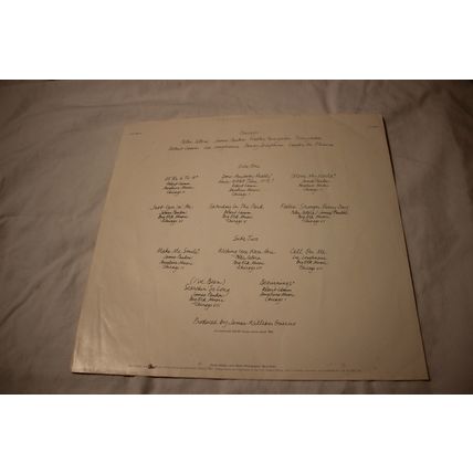 Chicago Original 12" Inner Record Sleeve ONLY-CHICAGO GREATEST HITS