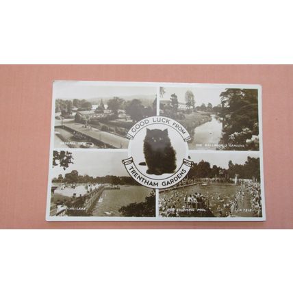 R.P Postcard -Lucky Black Cat @ Trentham Garden, Stoke on Trent - Staffordshire