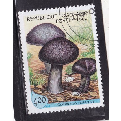 Togo 1999 Fungi Cortinarius Violaceus 400f CTO VGC