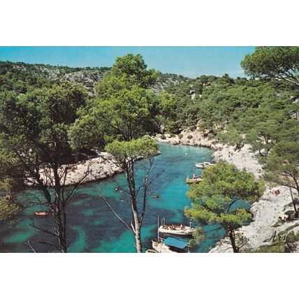 Nos Belles Calanques Cassis Port Pin France Postcard posted 1984 VGC