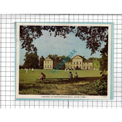 Hovingham Hall Yorkshire Cricket - 1956 Clipping