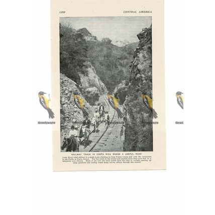 Costa Rica, Railway Track Used As A Road, Book Illustration, c1920