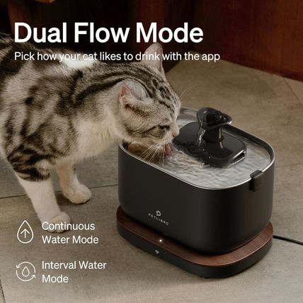 PETLIBRO Cat Water Fountain, App Monitoring Pet Fountains for Cats Indoor with S