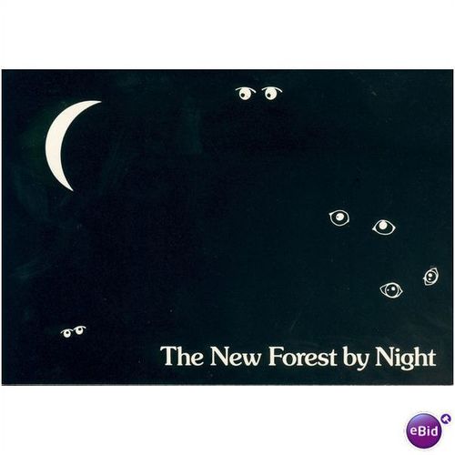 GB Postcard - The New Forest, Hampshire By Night!