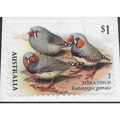 AUS 2018 $1.00 (S/A) 'BIRDS -FINCHES -ZEBRA' ON PAPER FINE USED (EBID25-879)