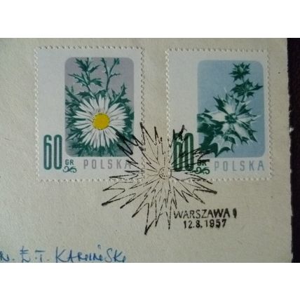 Poland 1957 Wild Flowers set 5 used stamps SG1021-5 Thistle Orchid Edelweiss