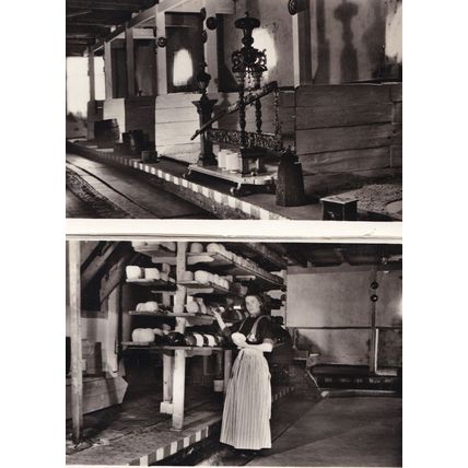 Droogstelling Cheese Drycaffold Kaas 2x Real Photo Dutch Postcard