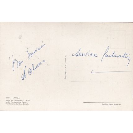 Murcia Jardin Floridablanca Spain Postcard unused mark on face