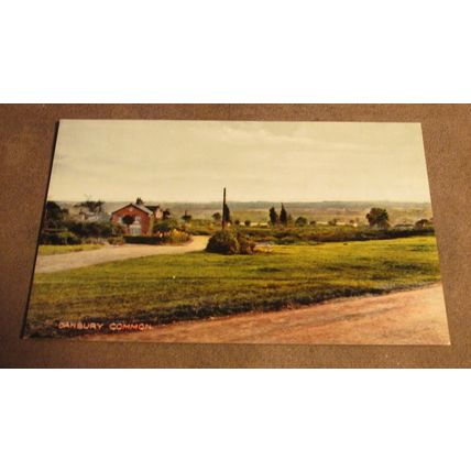 Early Postcard - Danbury Common scene - Nr Chelmsford Essex - N1