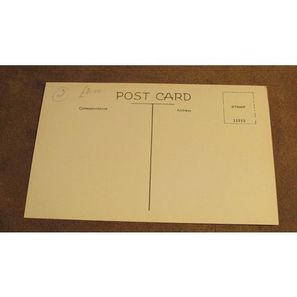 Early Postcard - Danbury Common scene - Nr Chelmsford Essex - N1