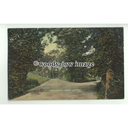 tp9392 - Devon - The Lane & Lodge Gates, of Cockington Court & Park - postcard