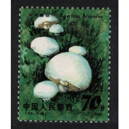 China Edible Mushroom 'Hericium erinaceus' 1981 MNH SG#3097 Sc#1708