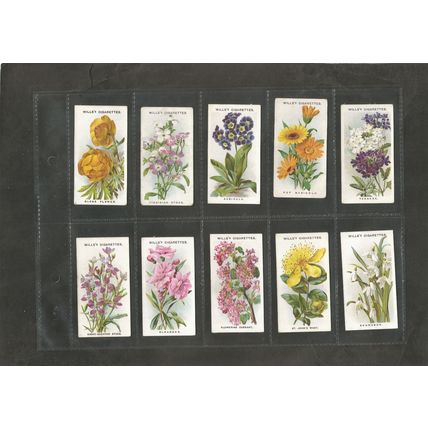 Flowers A full set of Wills Cigarette Cards Old English Garden Flowers 2nd 1915