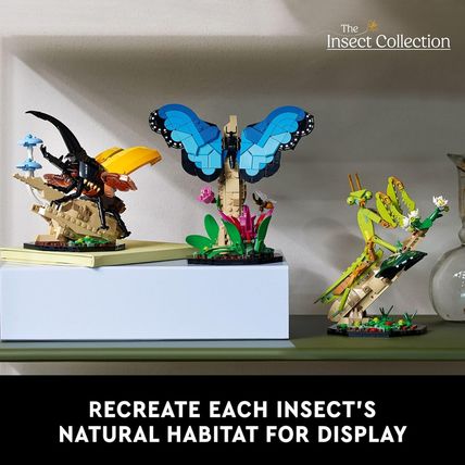 LEGO Ideas the Insect Collection - Collectible Model Building Kit for Adults, Ag