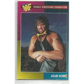 WORLD WRESTLING FEDERATION trading card # 15 ADAM BOMB (1995)